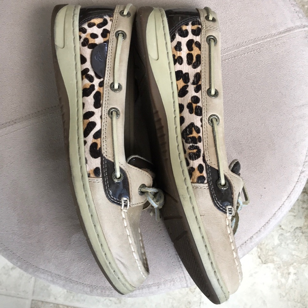 Sperry Topsider Angelfish